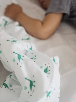 Lot De 3 Langes En Coton Jurassic
