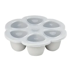Pack Babycook® Solo - Mes Premiers Repas Grey