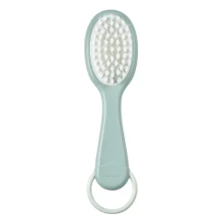 Peigne Et Brosse Green Blue
