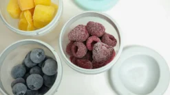 Portions Silicone Jungle